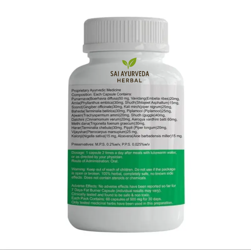Sai Ayurvedic Herbal Fat Burner – Natural Weight Loss, Metabolism Accelerator & Energy Booster | 60 Capsules - Image 3
